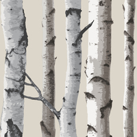 Birch Trees Wallpaper Cream and Silver Fine Decor FD31051