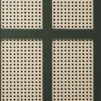 Cane Panel Wallpaper Black Fine Decor FD42998