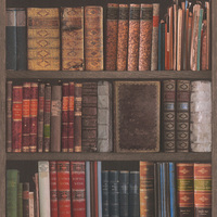 Library Books Wallpaper Rasch 934809