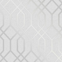 Quartz Trellis Geometric Wallpaper Silver and Grey Fine Decor FD42304