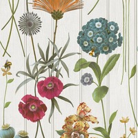 Botanist Wood Panel Wallpaper White / Multi Belgravia 4770